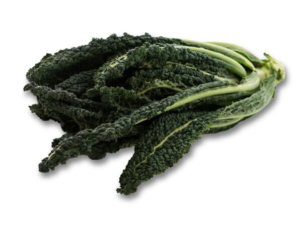 CAVOLO NERO (foto)